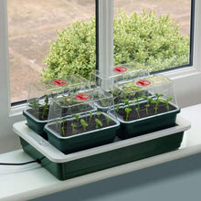 Load image into Gallery viewer, Britten & James Windowsill Propagator Set - Heated Tray & 4 Mini Propagators